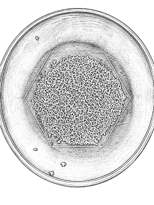 FIG-N1-17: Surface deposit pattern after excitation of mineral water in the focal region of the resonator.